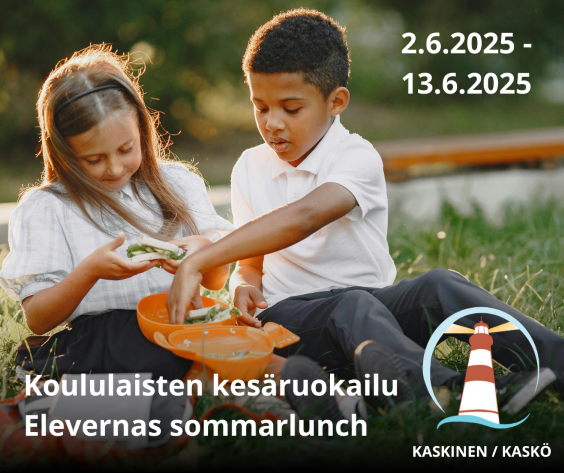 Elevernas sommarlunch